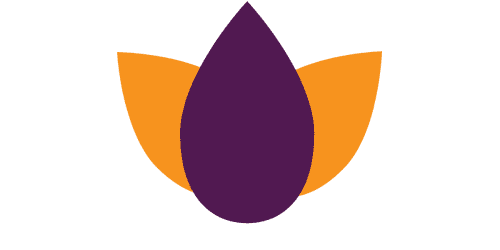 Mihaela Plocon 500 X 400 Px 800 X 400 Px2 - Avada Template