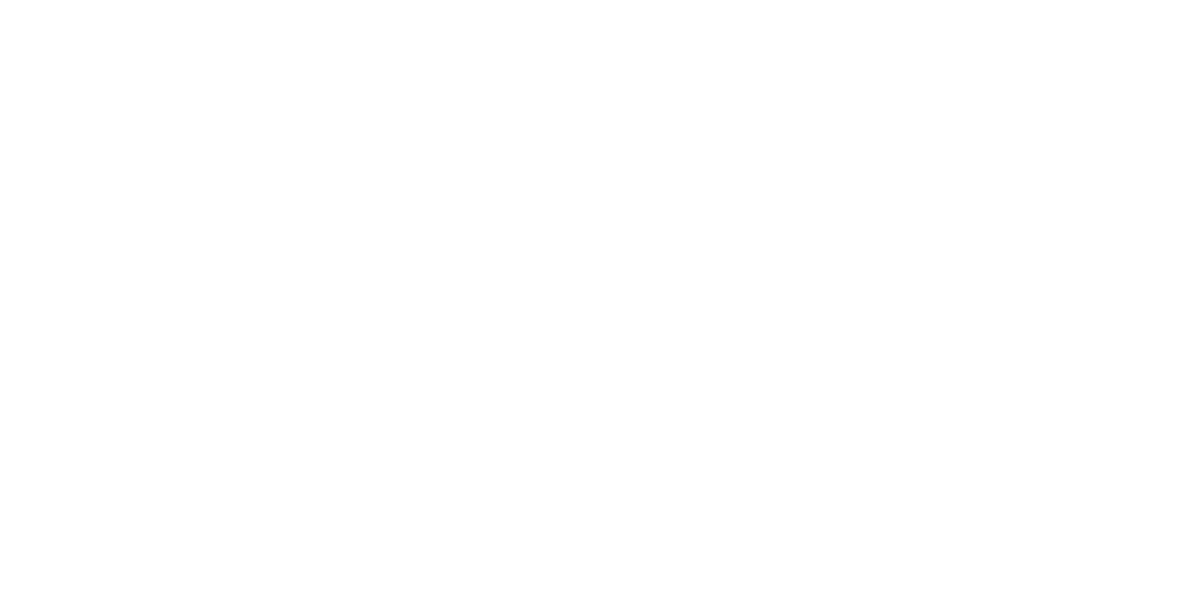 Mihaela Plocon 500 X 400 Px 800 X 400 - Avada Template